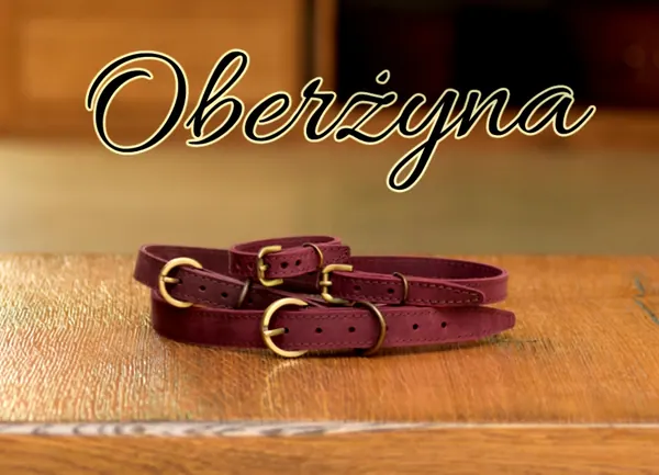 Obroże skórzane